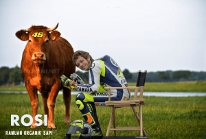 rosi